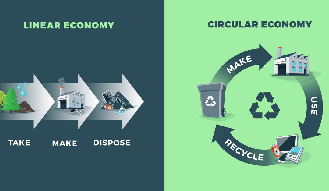 Transitioning from Linear to Circular Economies