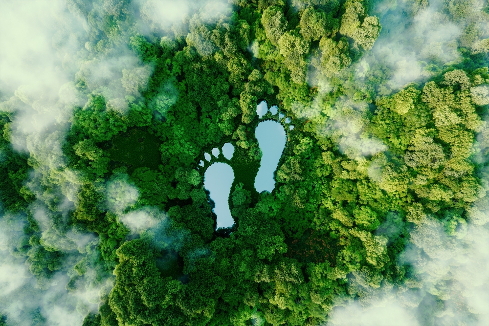 What Is a Carbon Footprint?